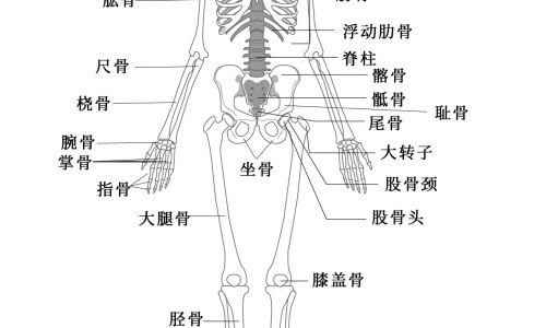 鼻咽呛进食物有恶臭网 :分享呛到鼻子里食物残渣怎么办-鼻子呛进食物怎么办知识